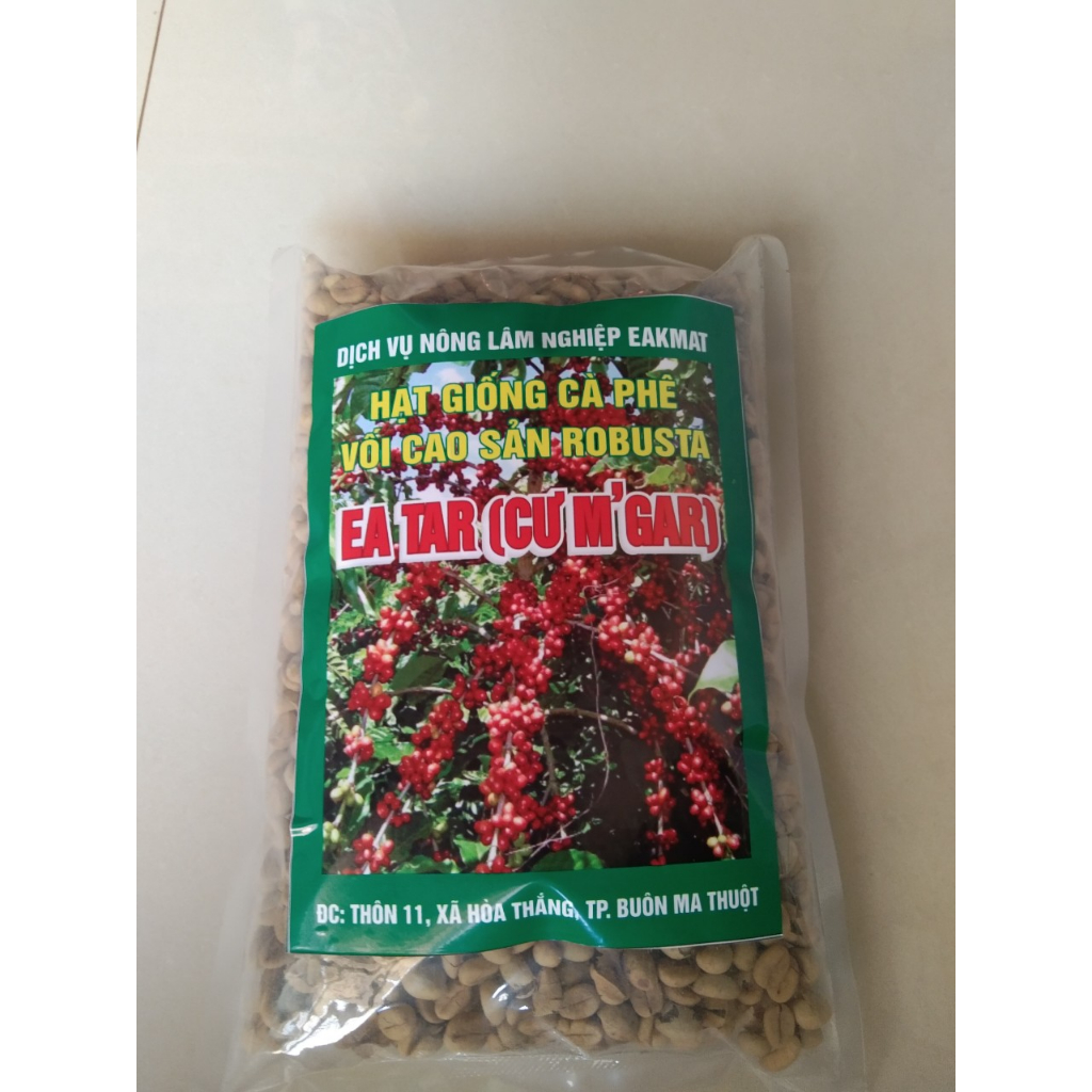 1KG HẠT GIỐNG CÀ PHÊ EA TAR (CƯ MGAR) gói 1kg