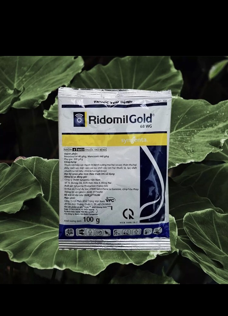 Trừ nấm Ridomil gold 68WG
