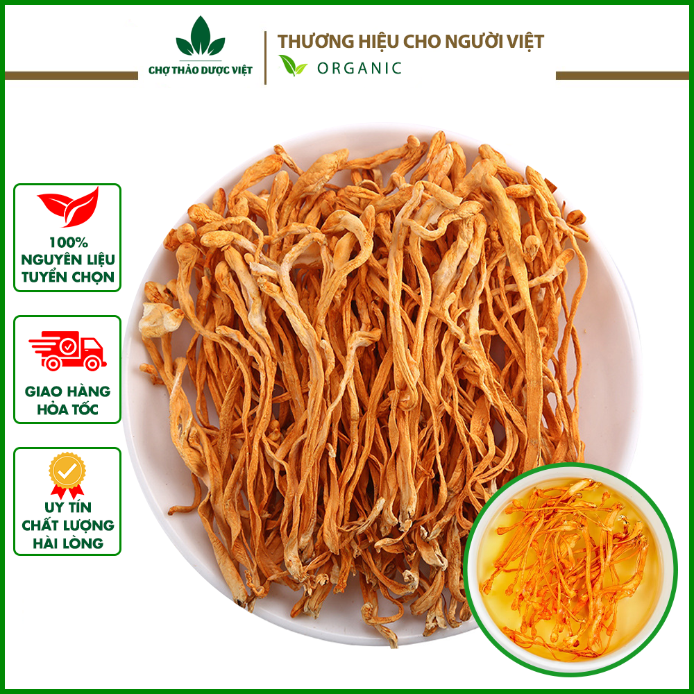 1kg đông trùng hạ thảo khô - Chợ Thảo Dược Việt