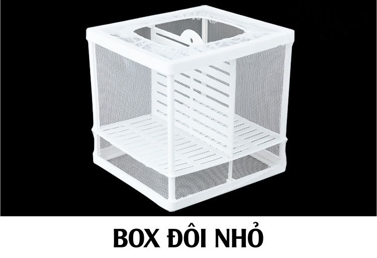 Box Lưới - Lồng Cách Ly, Dưỡng Cá Tép Bằng Vải Lưới