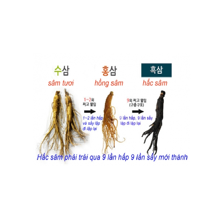 [HCM]Nước hắc sâm Hàn Quốc Bio Hộp 60 gói