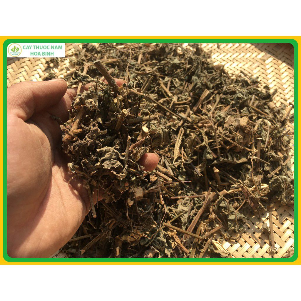 Thảo dược cây cỏ xước khô sạch 1kg