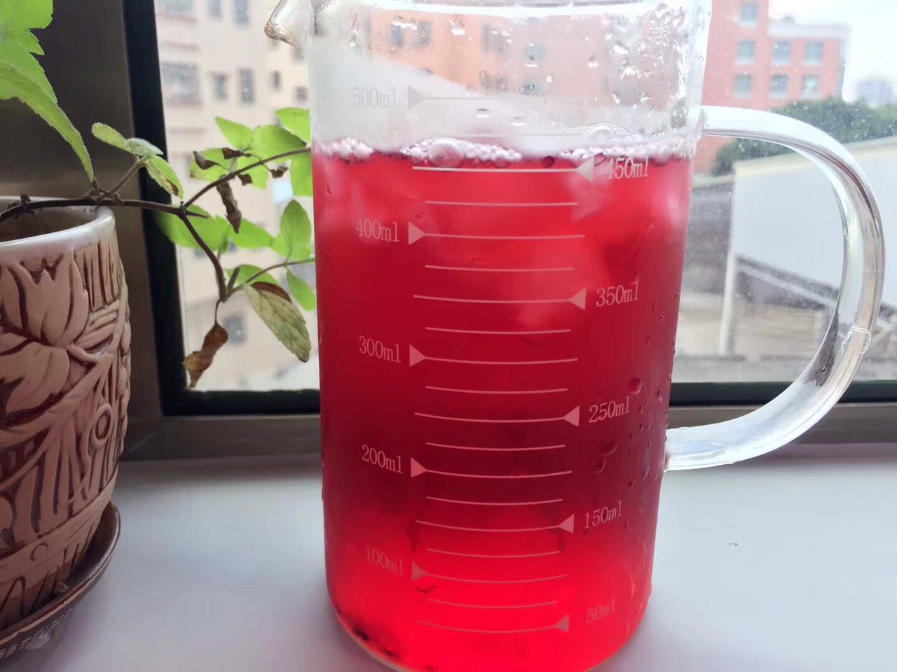 [HCM]Trà Hoa Hibiscus 50G