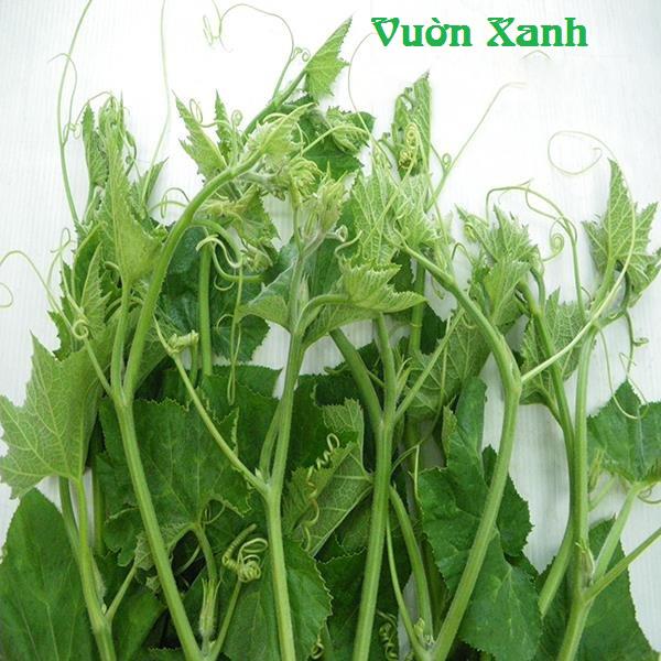 Hạt giống bí siêu ngọn 20gr