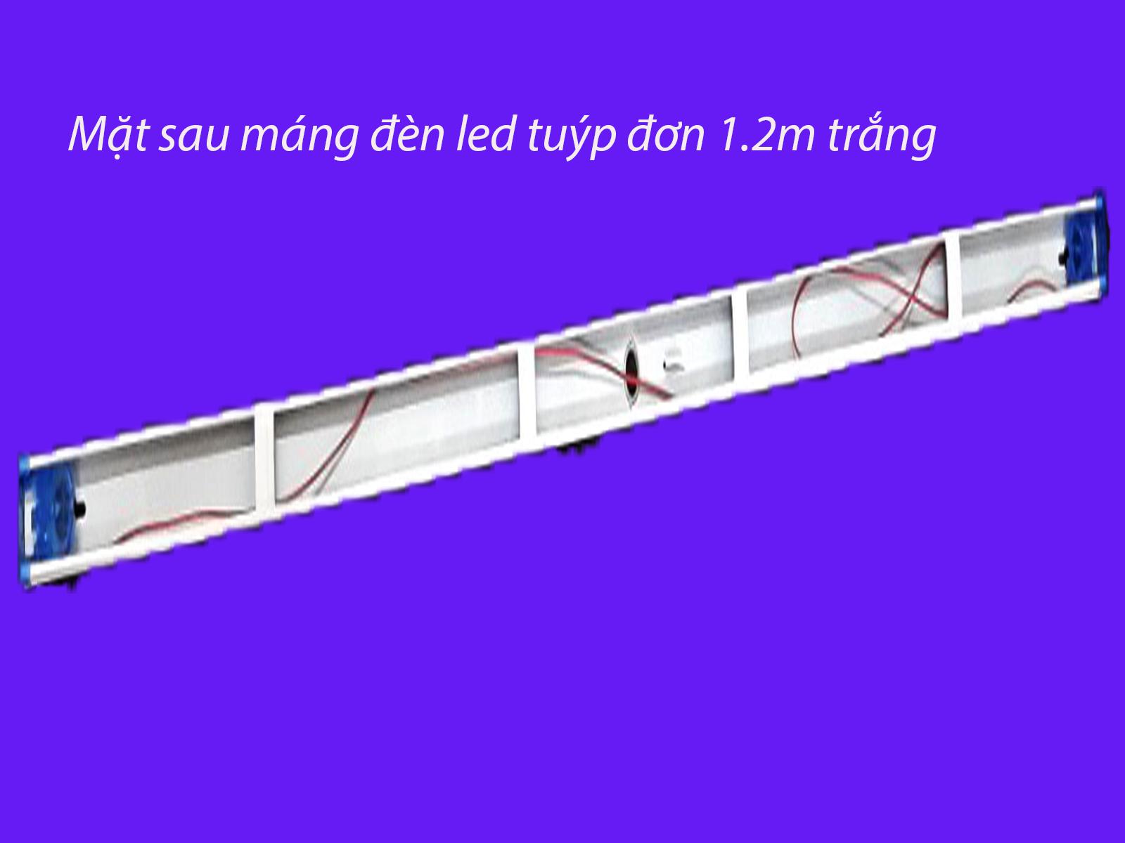Bộ 6 Máng led Tuýp đơn 1.2m