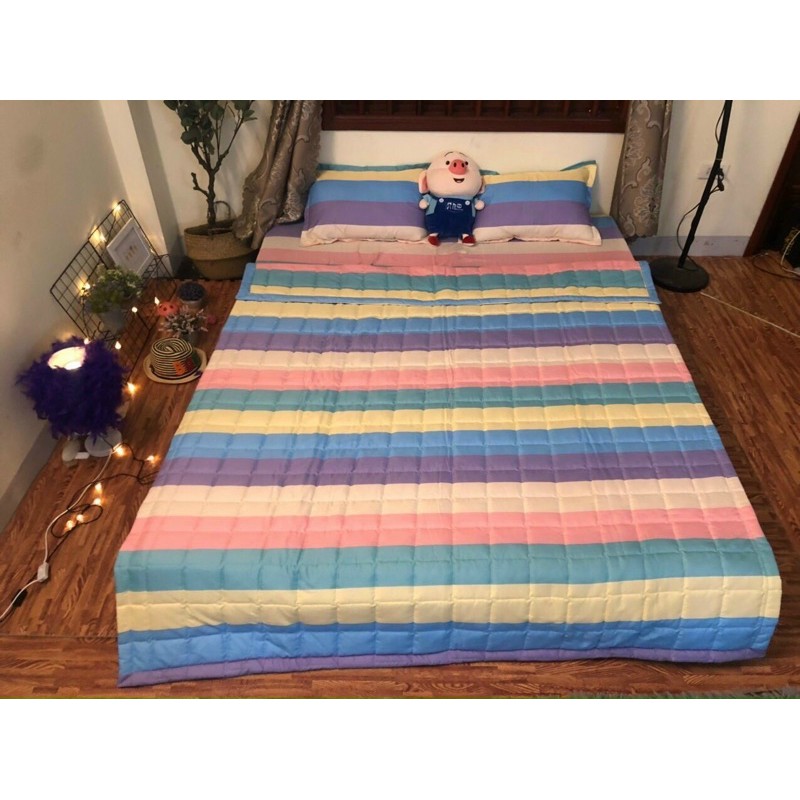 Set Ga + 2 Vỏ Gối Poly Cotton M6/M8