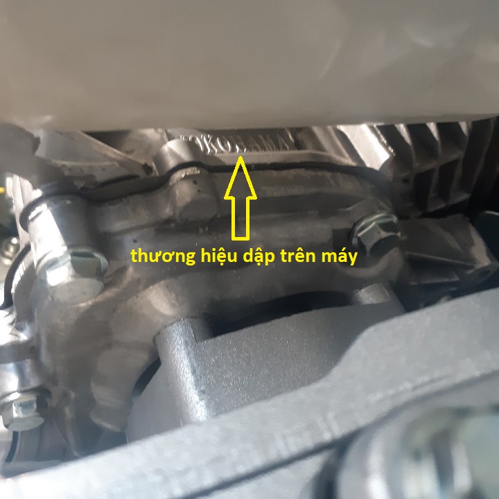 Động Cơ Xăng Yokohama 5,5hp cốt thẳng