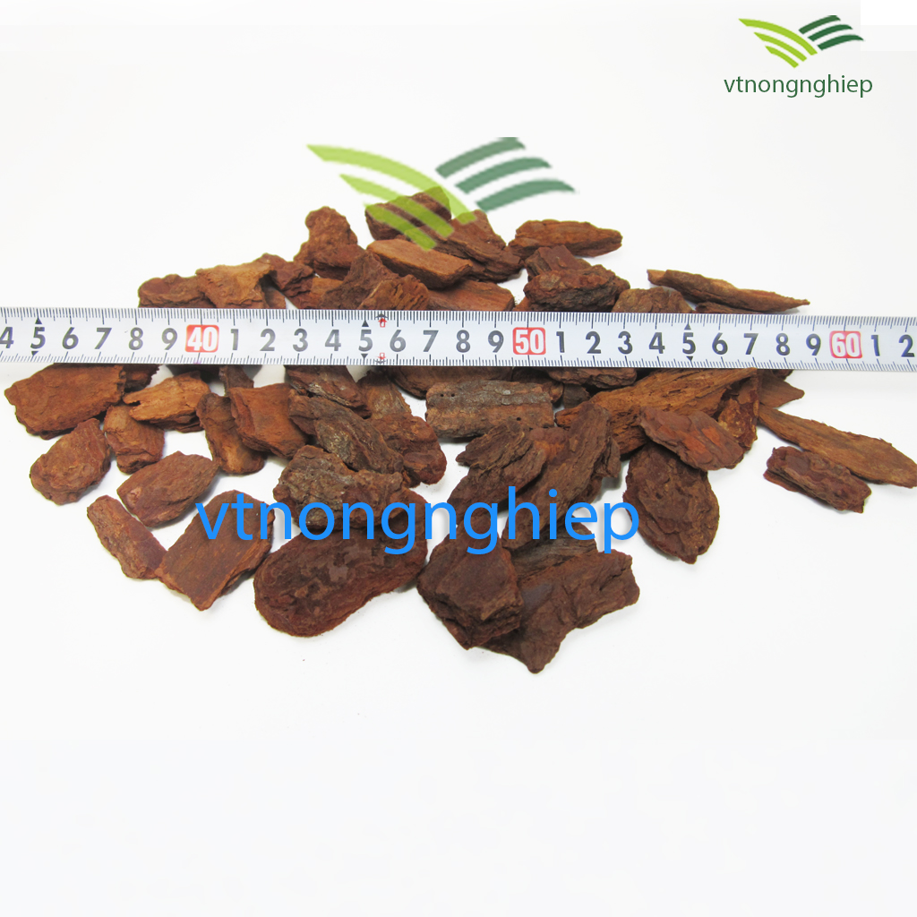 1kg shell pine planted Lan has treated, the shell grind has grinding edge, price can specialized grow orchids.