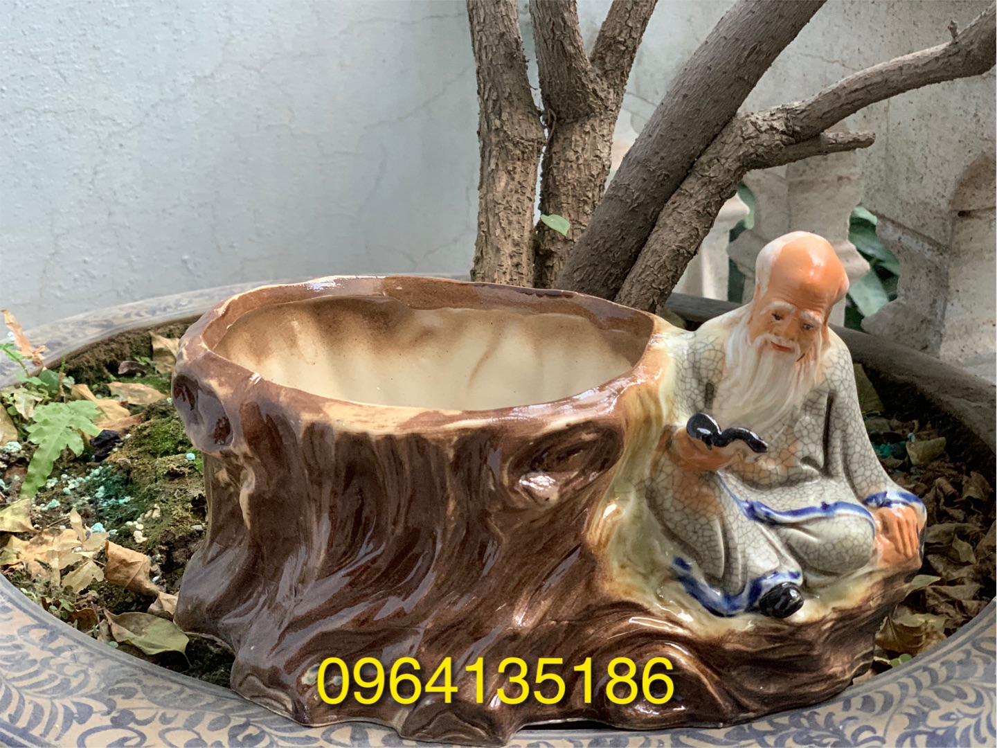 Tượng thọ tiên đọc sách bên chậu cây gốm sứ Bát Tràng