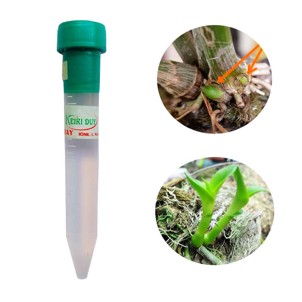 Keiki Duy Xanh Spray chai 15ml- kích nảy chồi