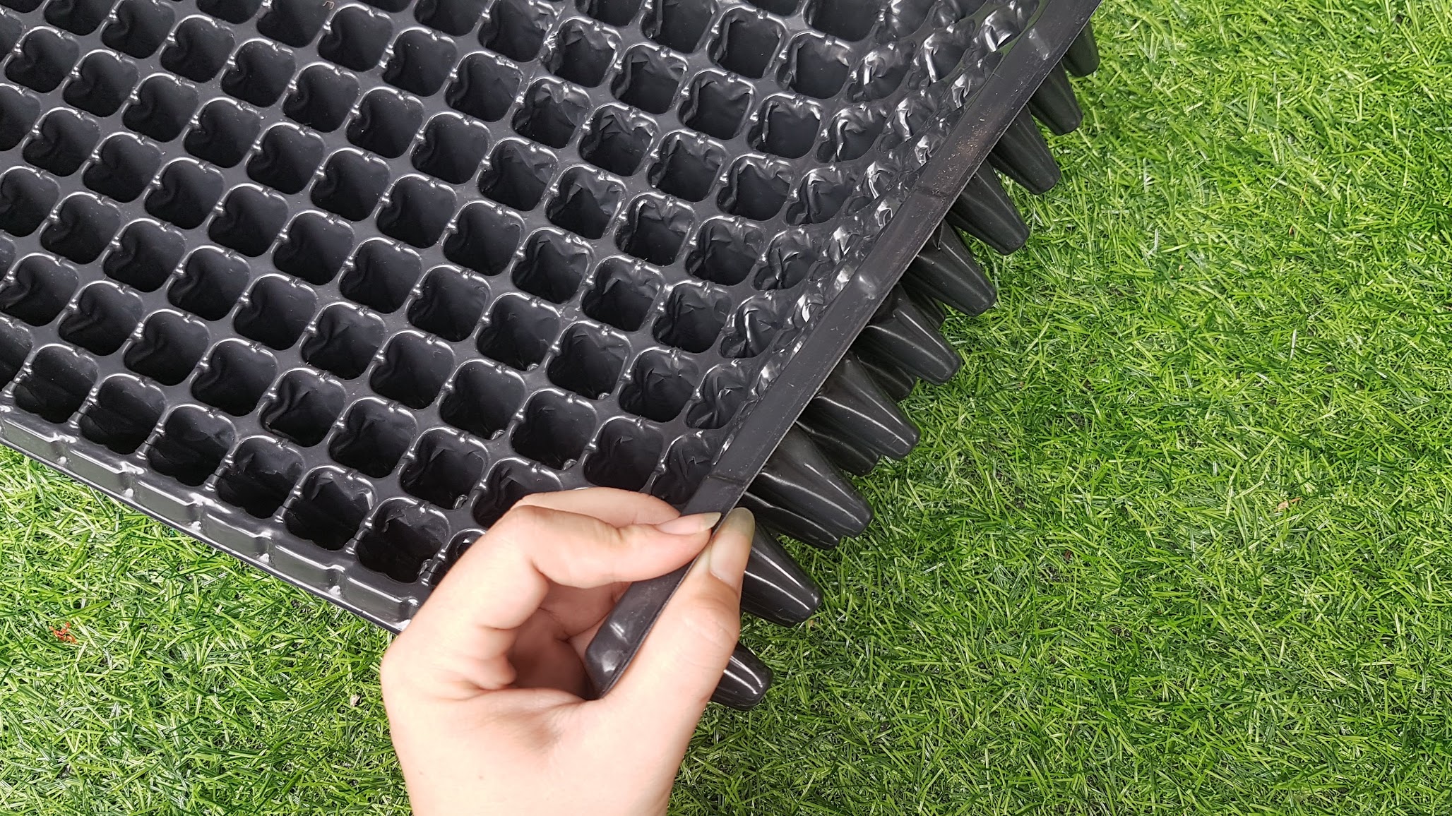 Khay mỏng ươm hạt 200 lỗ