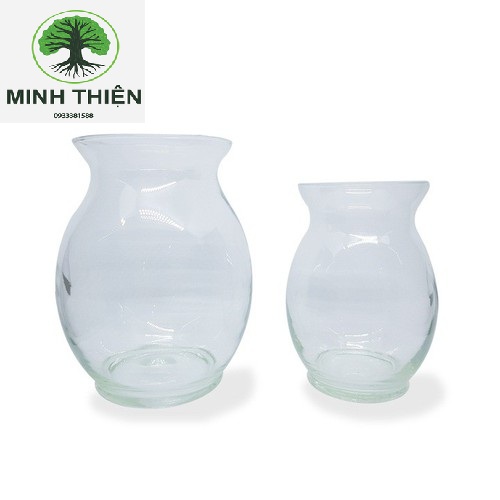 [HCM]Bình Bông Lọ Hoa Thủy Tinh Dáng Bầu Dục Lớn