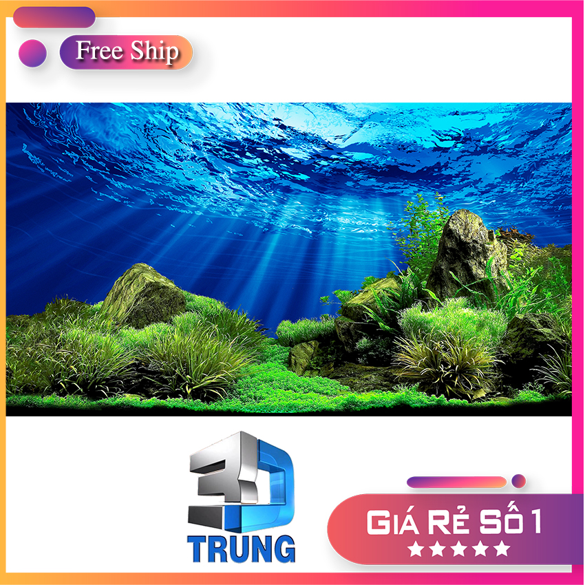 Tranh 3d bể cá có keo trung3d kt