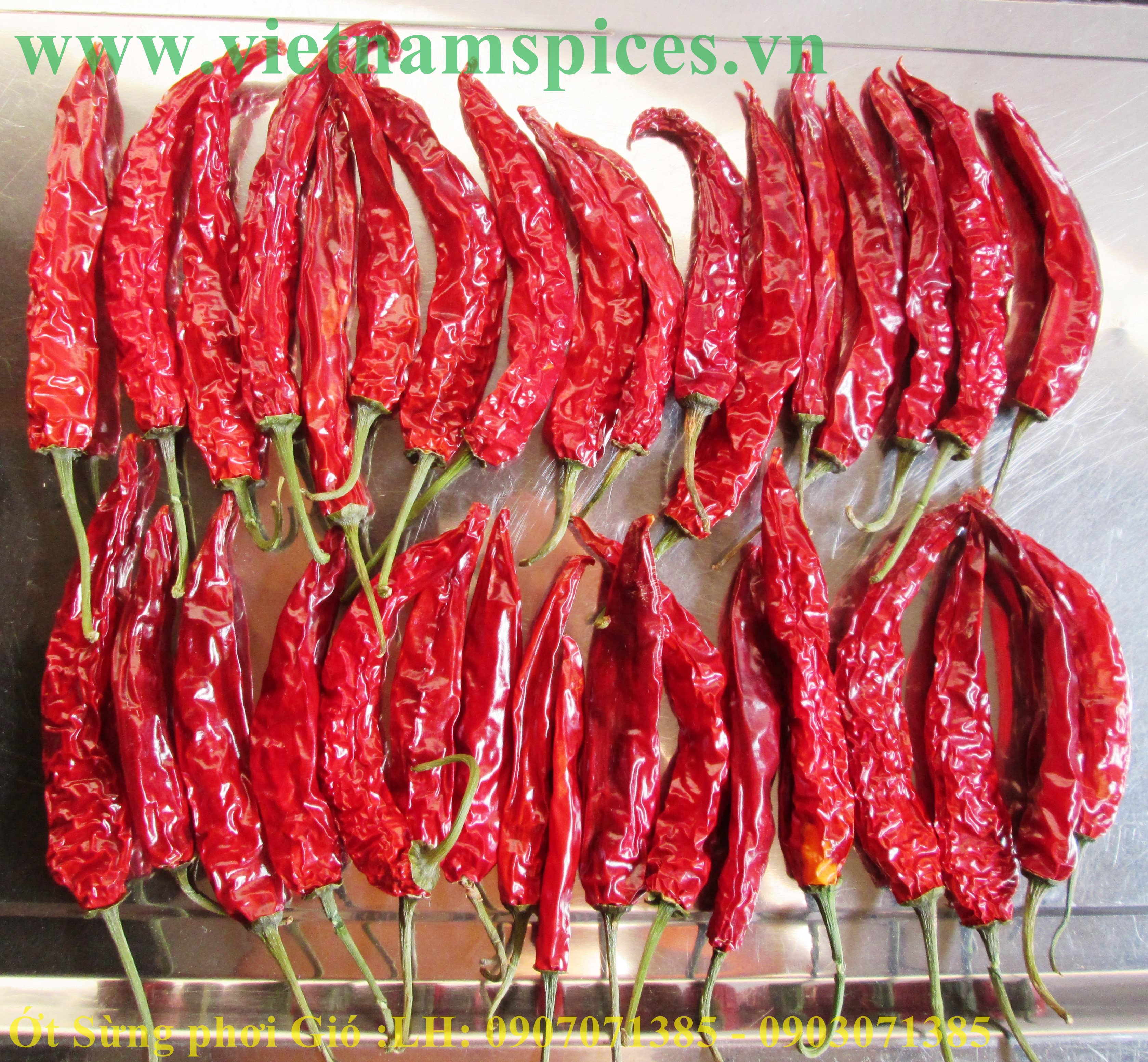 Ớt Sừng trái  Phơi Khô Cao Cấp 100gram