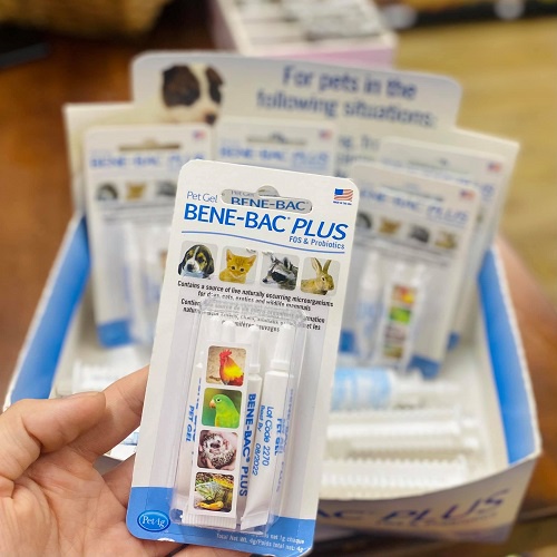 [CHÍNH HÃNG] MEN TIÊU HÓA BENE-BAC PLUS CHO CHÓ MÈO (Hộp 4 ống 1G)