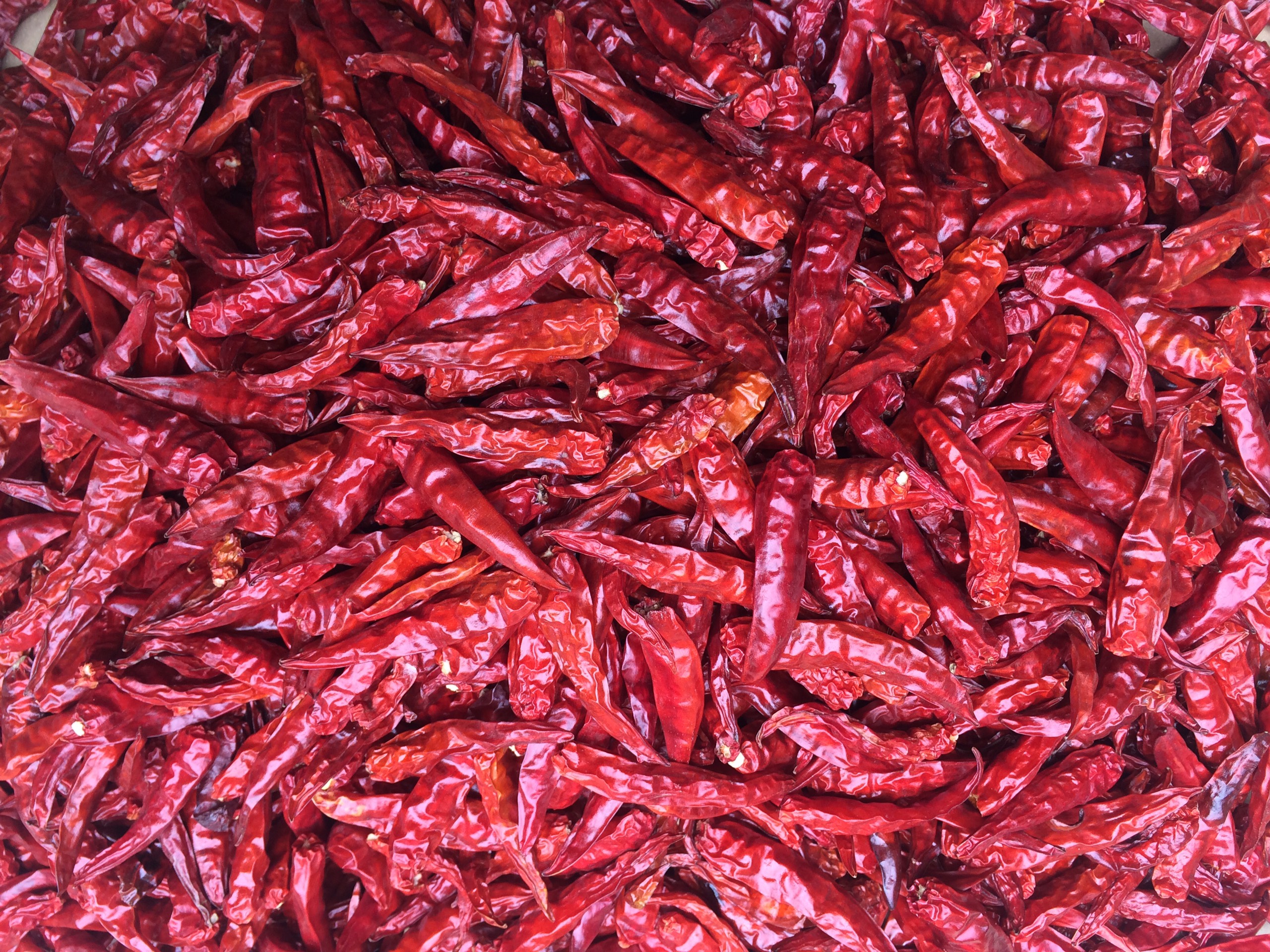Ớt khô nguyên trái 1000g