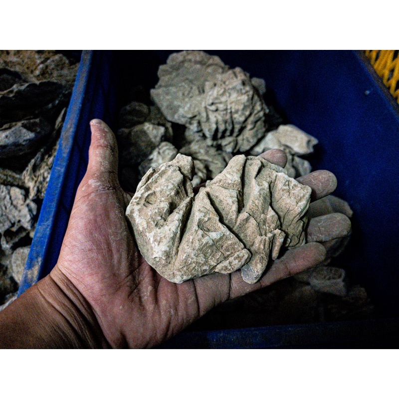 Đá Da Voi (1KG) | Trang trí Thủy Sinh Biotope Iwagumi....|