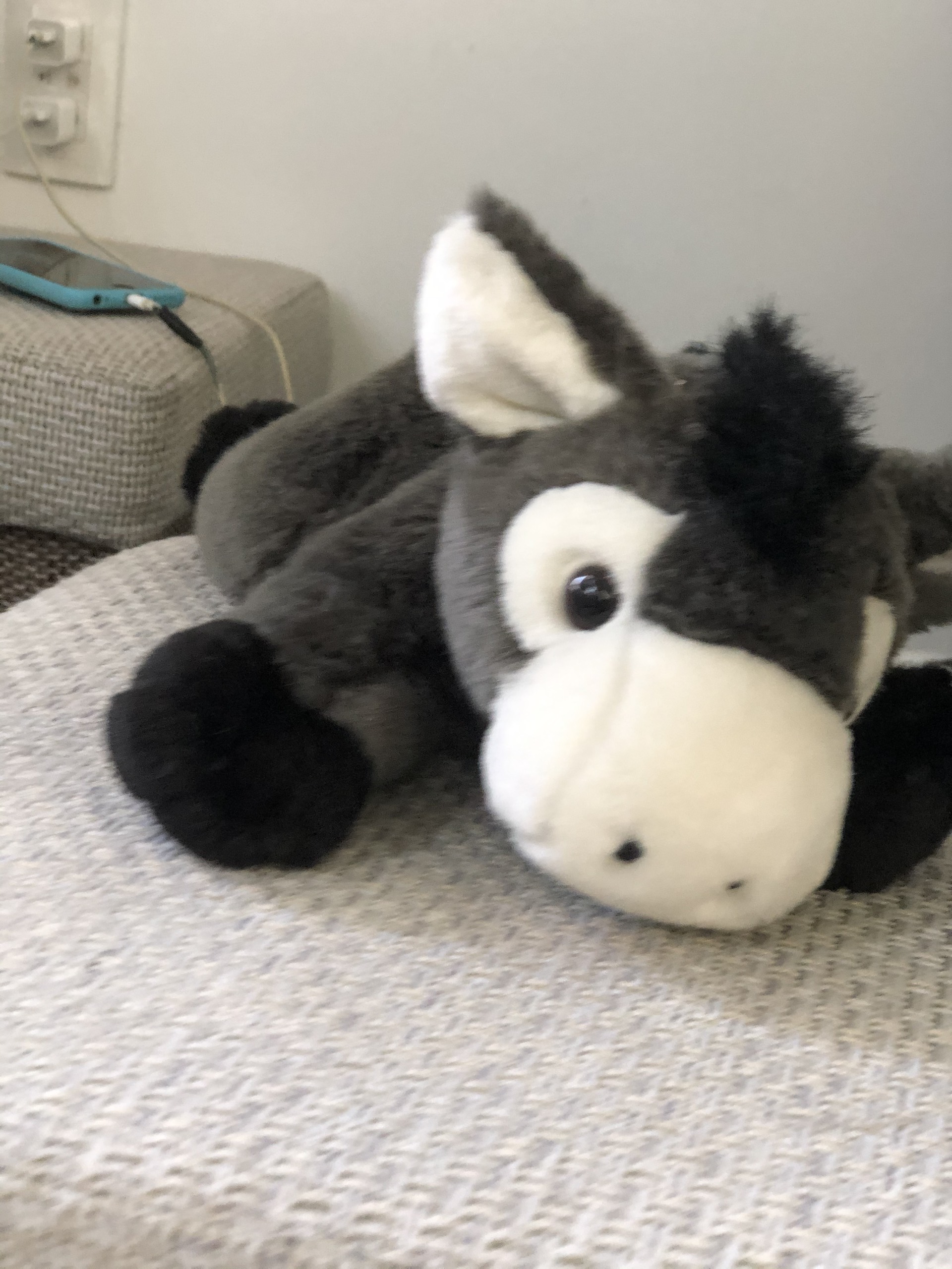 Chú Lừa Donkey
