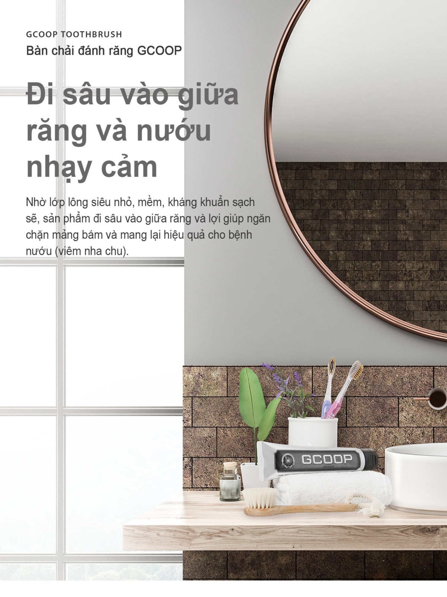 Bàn chải đánh răng GCOOP / GCOOP Toothbrush