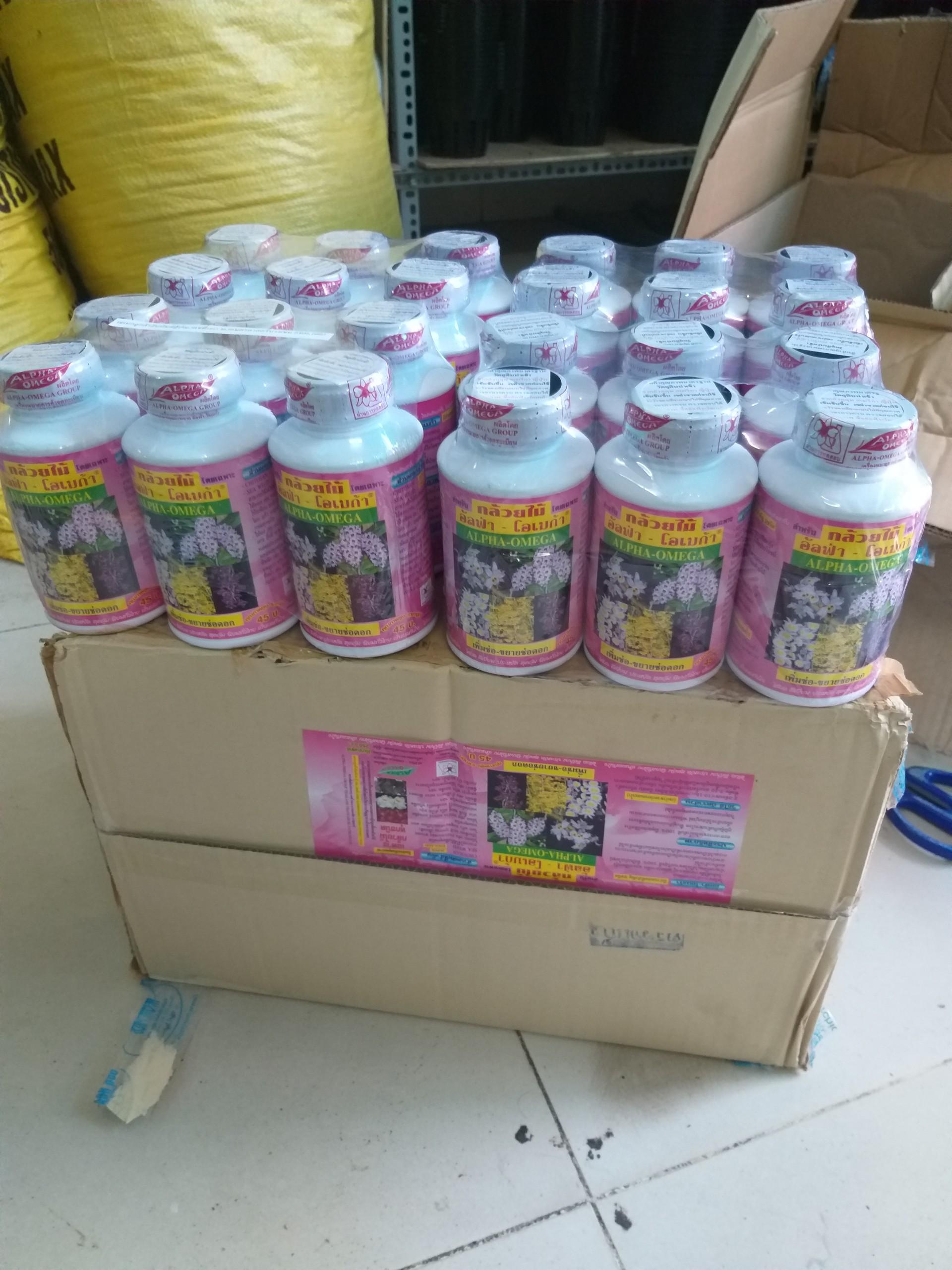 Phân bón Kích hoa Thái ra nụ đồng loạt cho hoa lan