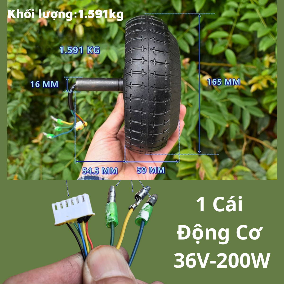 Động cơ phát điện 36v-300w, 60v-600w