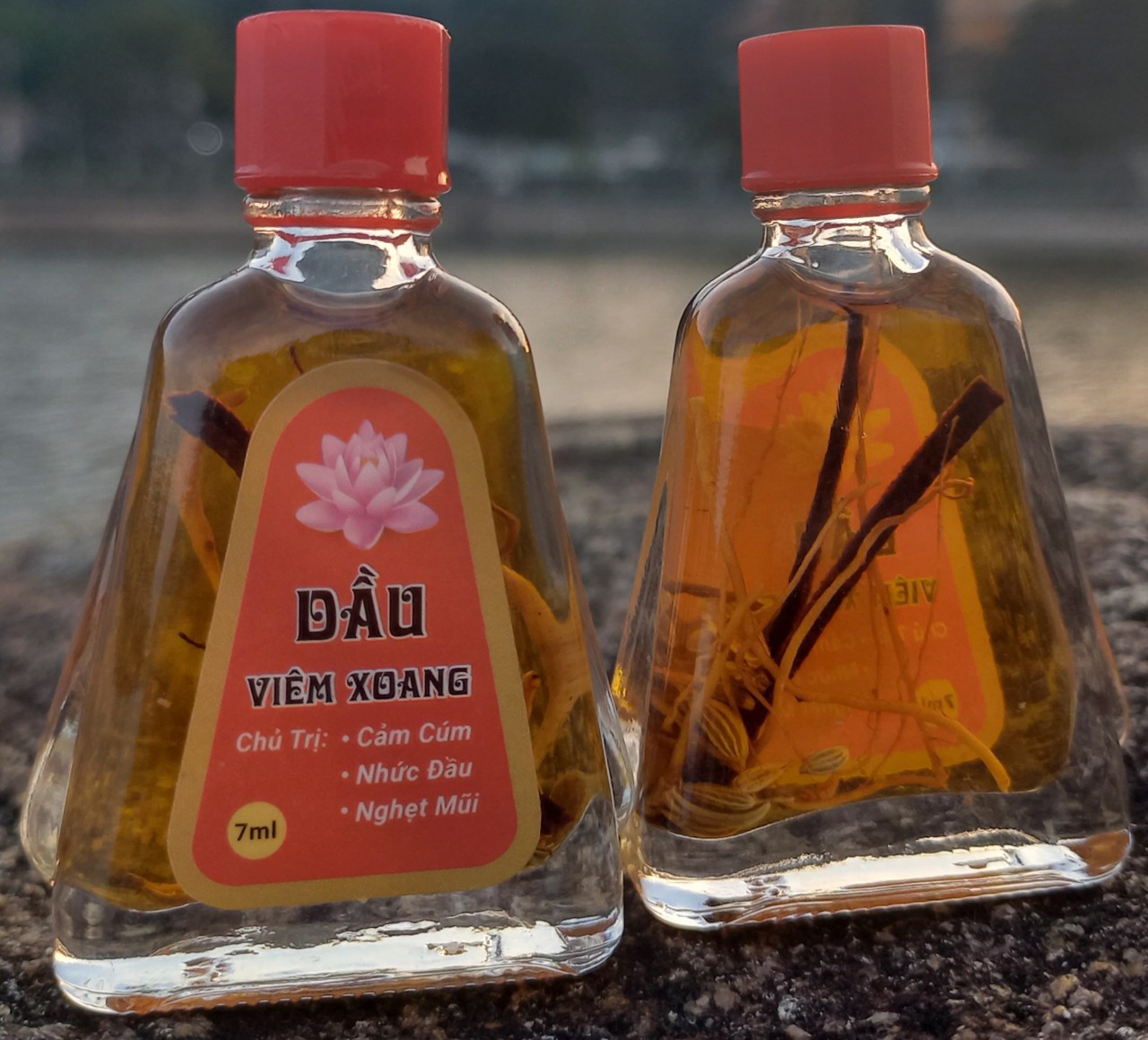 Dầu viêm xoang 7ml( ngâm rễ)