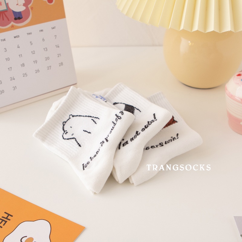 Tất cao cổ “WE BARE BEARS” - ảnh thật