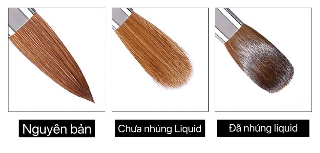 Cọ đắp bột lông chồn số 18 Kolinsky chính hãng cao cấp 1146