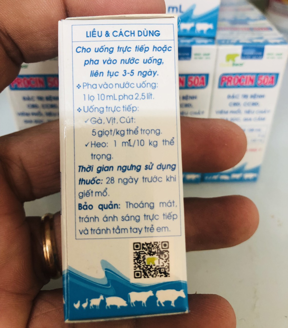 THUỐC GÀ ĐÁ - PROCIN 50 A - CTY GẤU VÀNG - COMBO 5 CHAI 10 ML