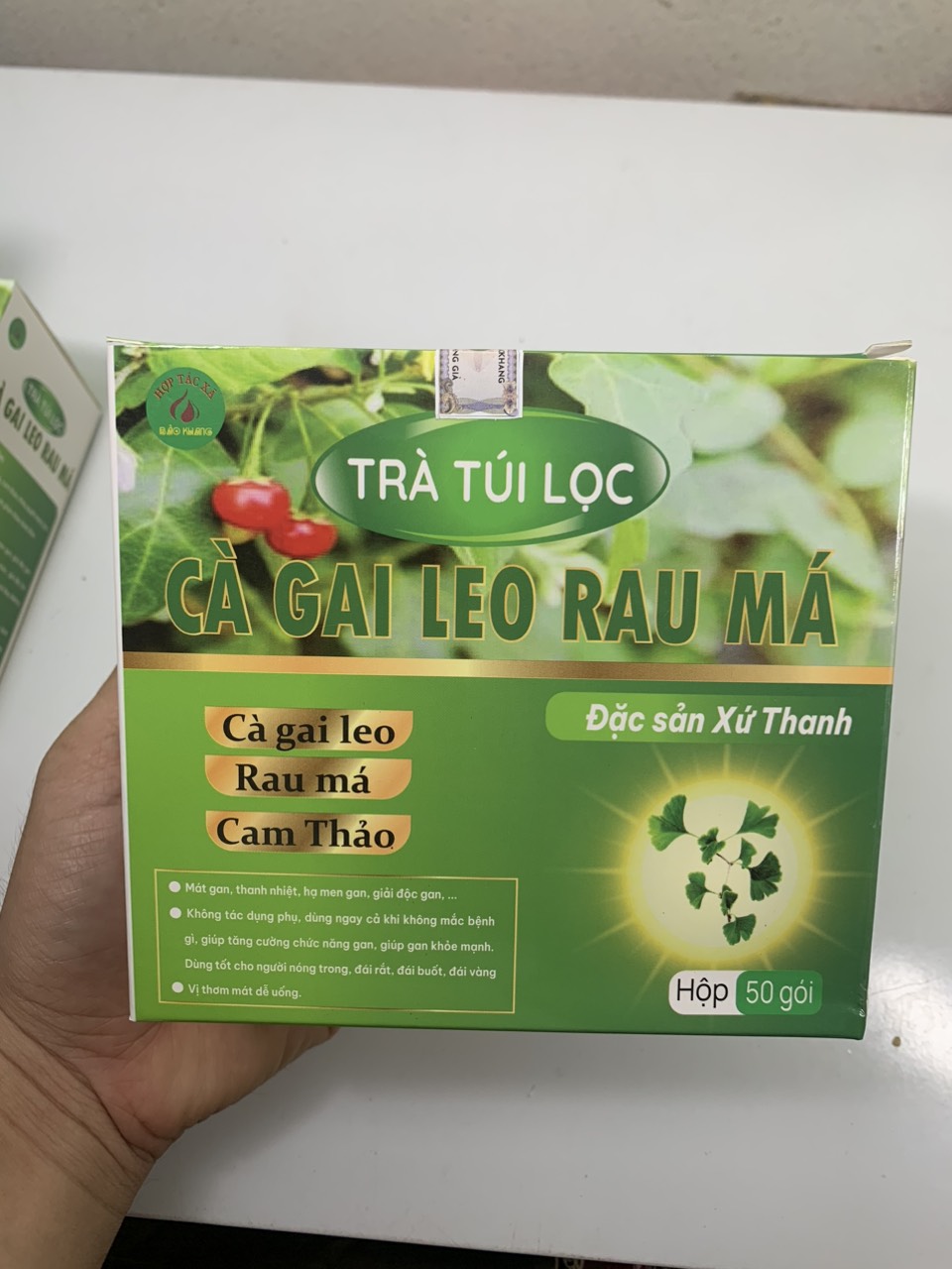 Trà cà gai leo, rau má túi lọc , trà túi lọc cà gai leo, thanh nhiệt, giải độc gan, mát gan, men gan cao, gan nhiễm mỡ