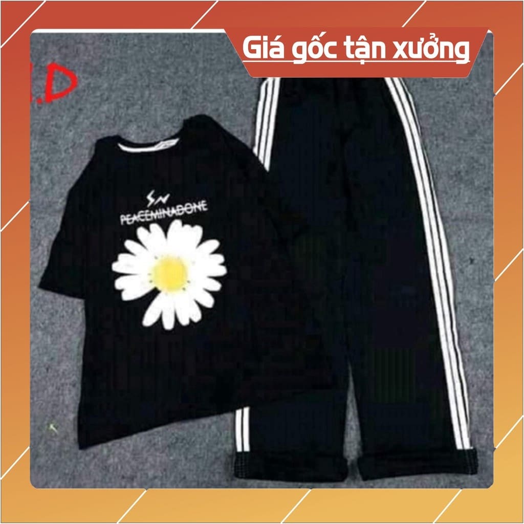 Sét áo hoa cúc  quần kẻ ba sọc