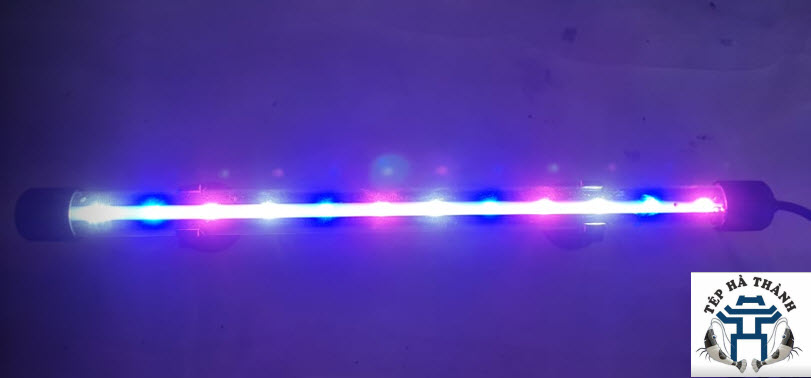 [Hoàn Tiền 10%] Đèn Led T4-30 Nhiều Màu Dùng Cho Bể Cá Cảnh, Bể Thủy Sinh 30-40cm