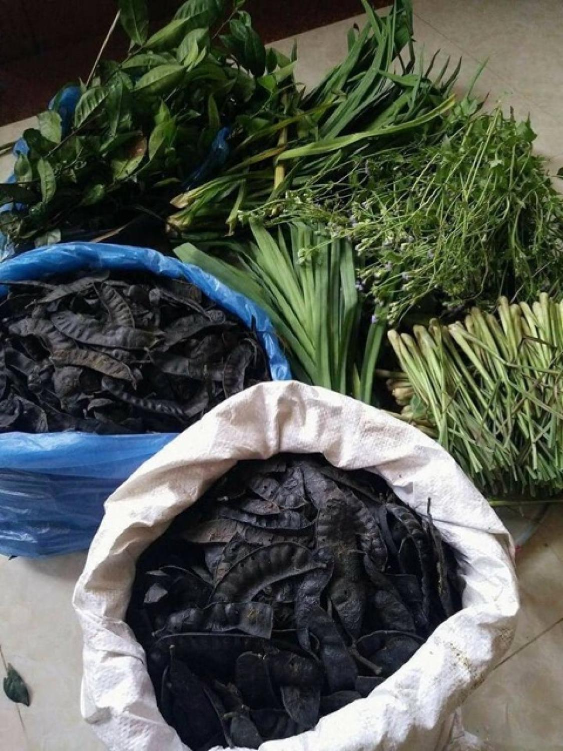 NƯỚC GỘI THẢO dượᴄ HUYỀN THOẠI