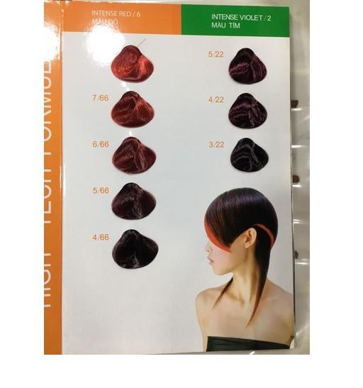 [HCM]Thuốc nhuộm tóc và oxy everflor 100 ml  - thuốc nhuộm và oxy everflor