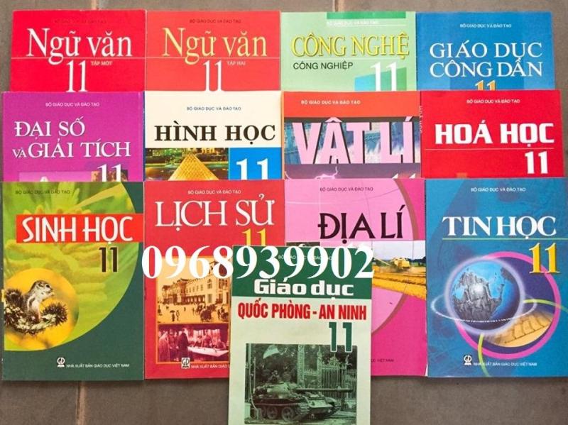 Mua Bộ sách giáo khoa lớp 11 (gồm 13q)