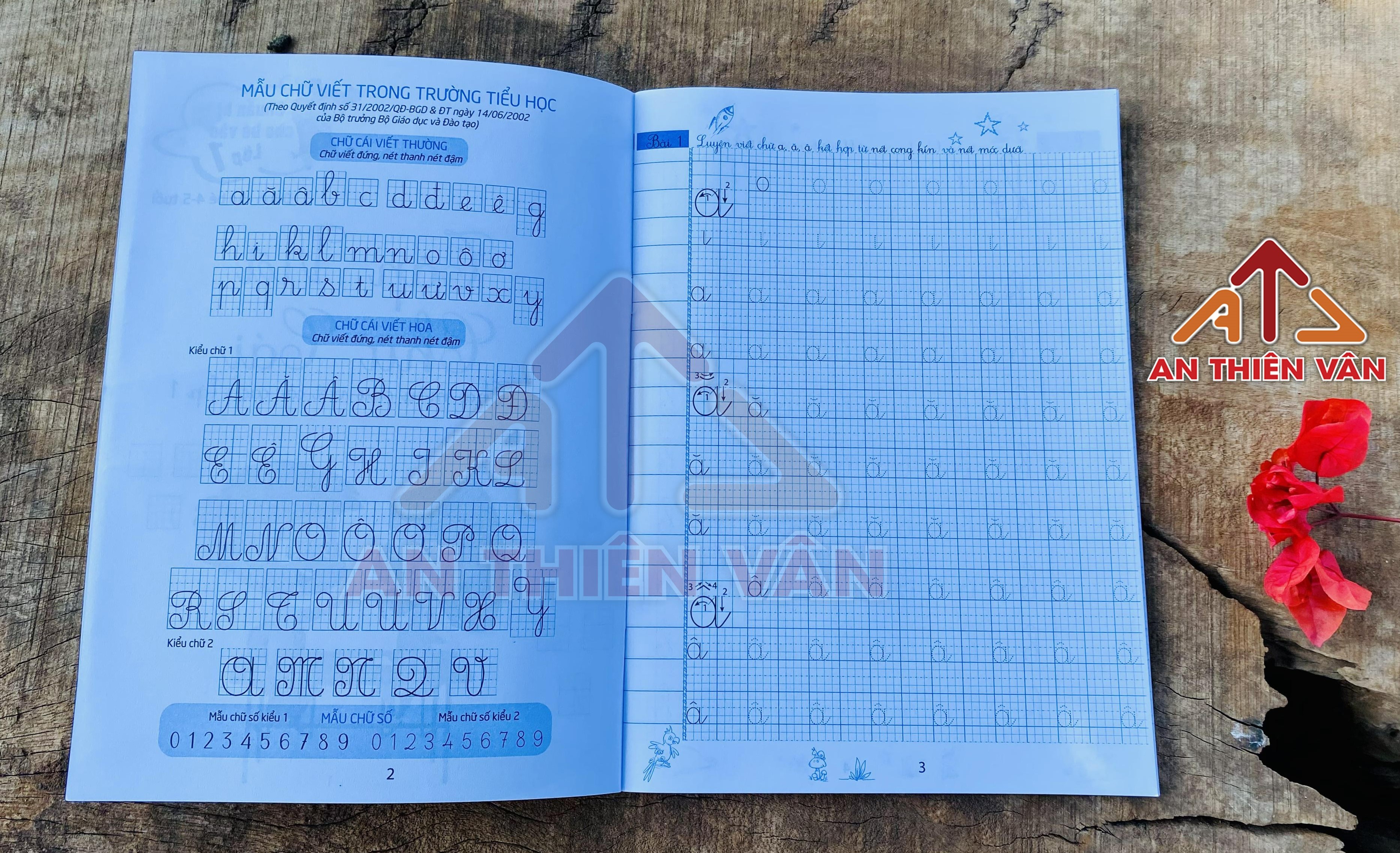 Tập viết chữ cái - Viết chữ cái từ những nét cơ bản