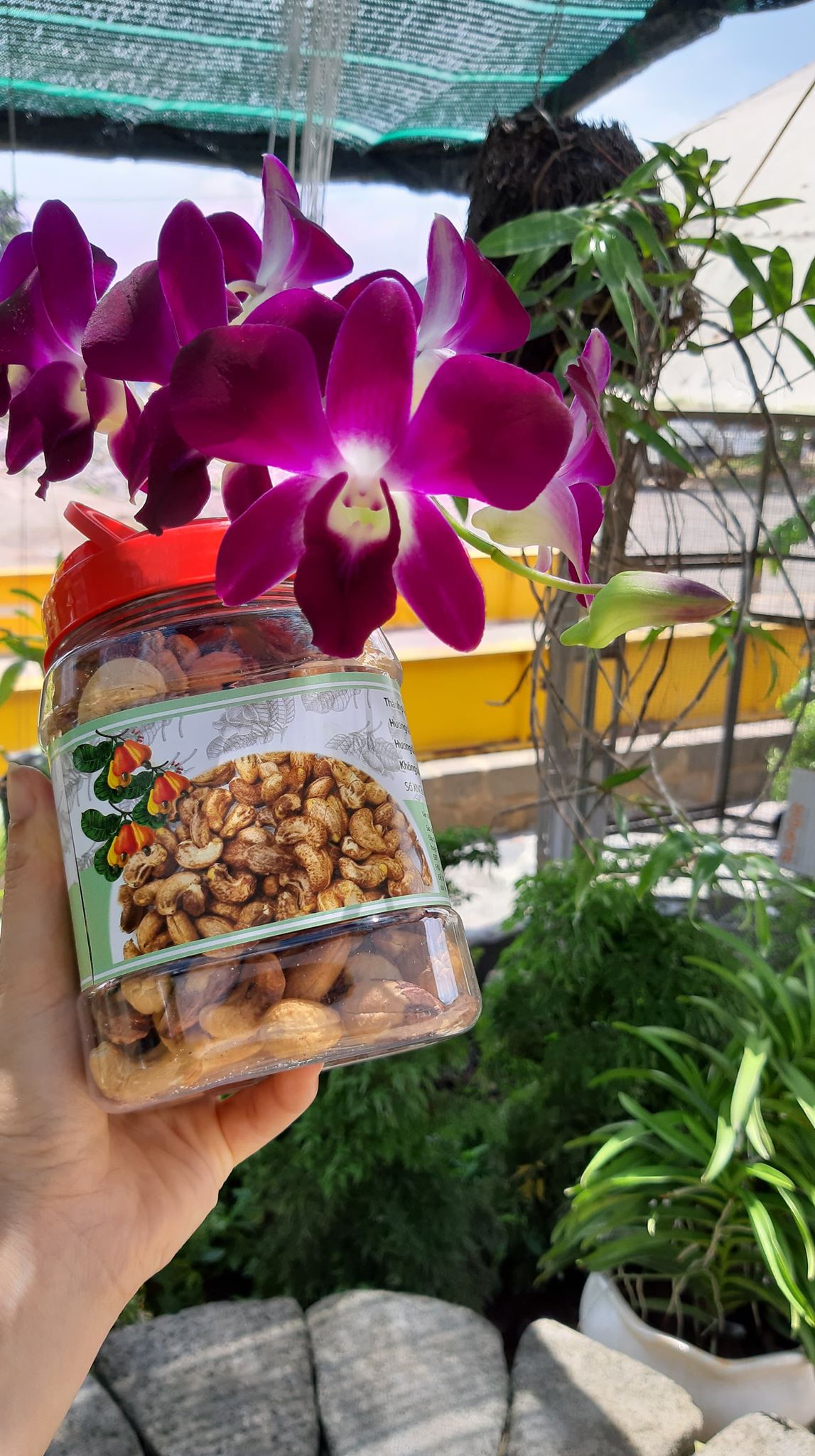 500G HẠT ĐIỀU RANG MUỐI NGUYÊN HẠT