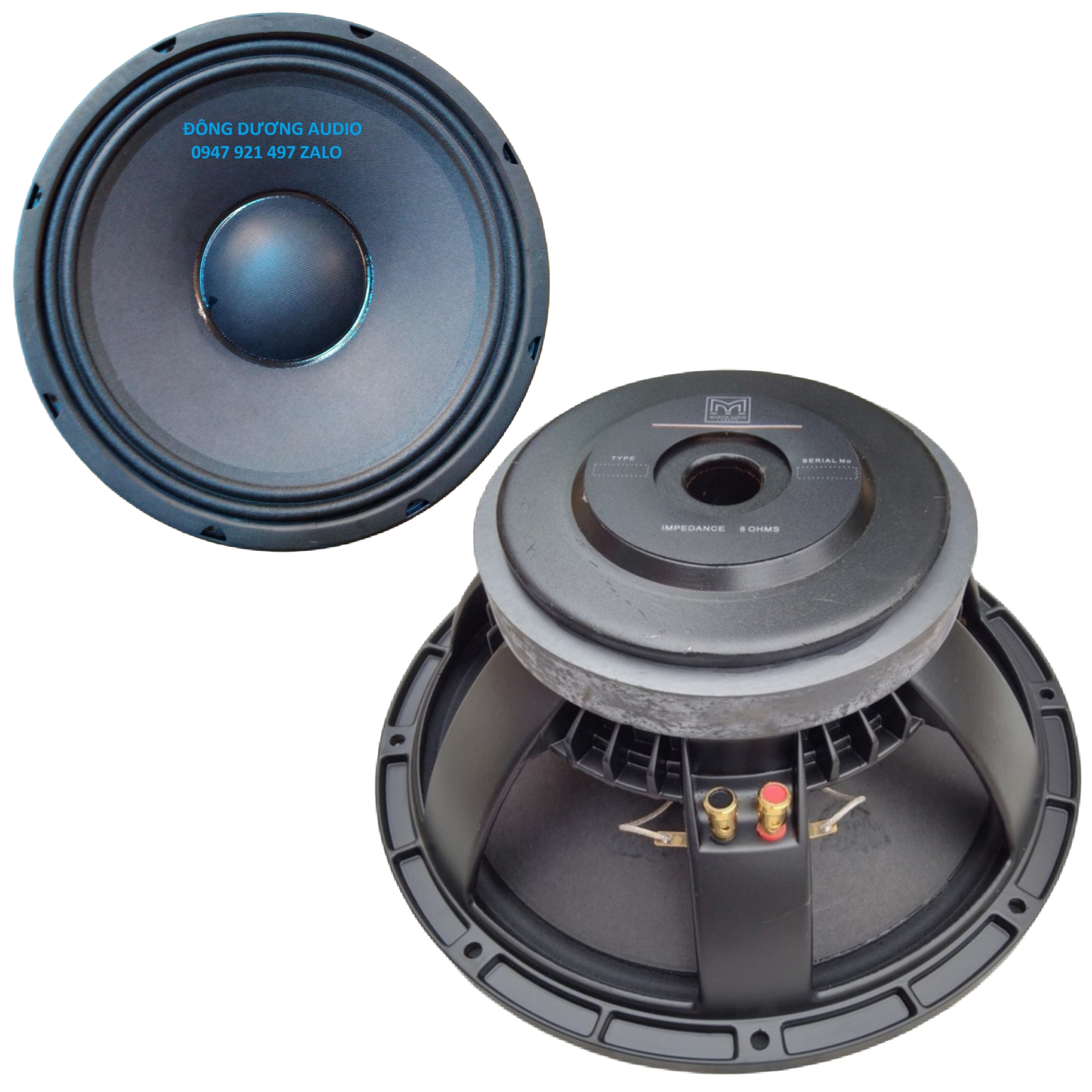 LOA BASS 30 MARTIN TỪ 170 COIL 76 - GIÁ MỘT LOA