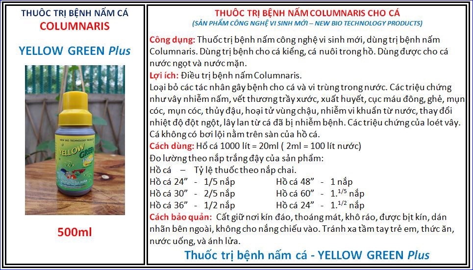 Thuố.c T.rị Bệnh Nấm Cá chai 500ml