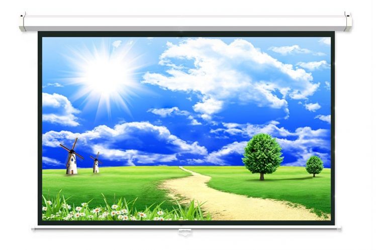 Màn Chiếu Treo Tường 84 INCH DALITE