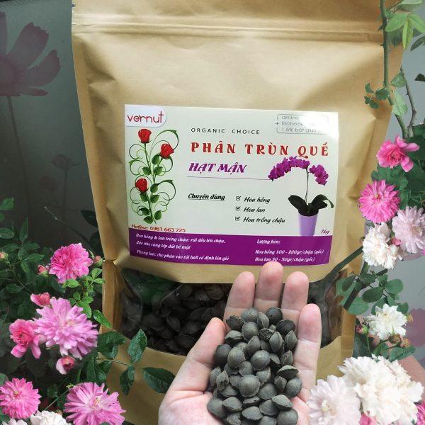 phân trùn quế hạt mận