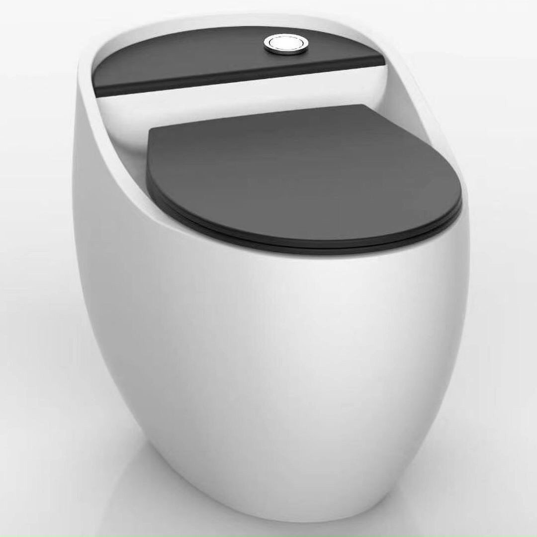 Bồn cầu quả trứng grvbc r21 white&black