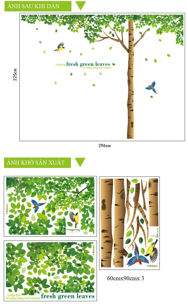 Decal dán tường Cây sồi cỡ đại- C35-vivadecal