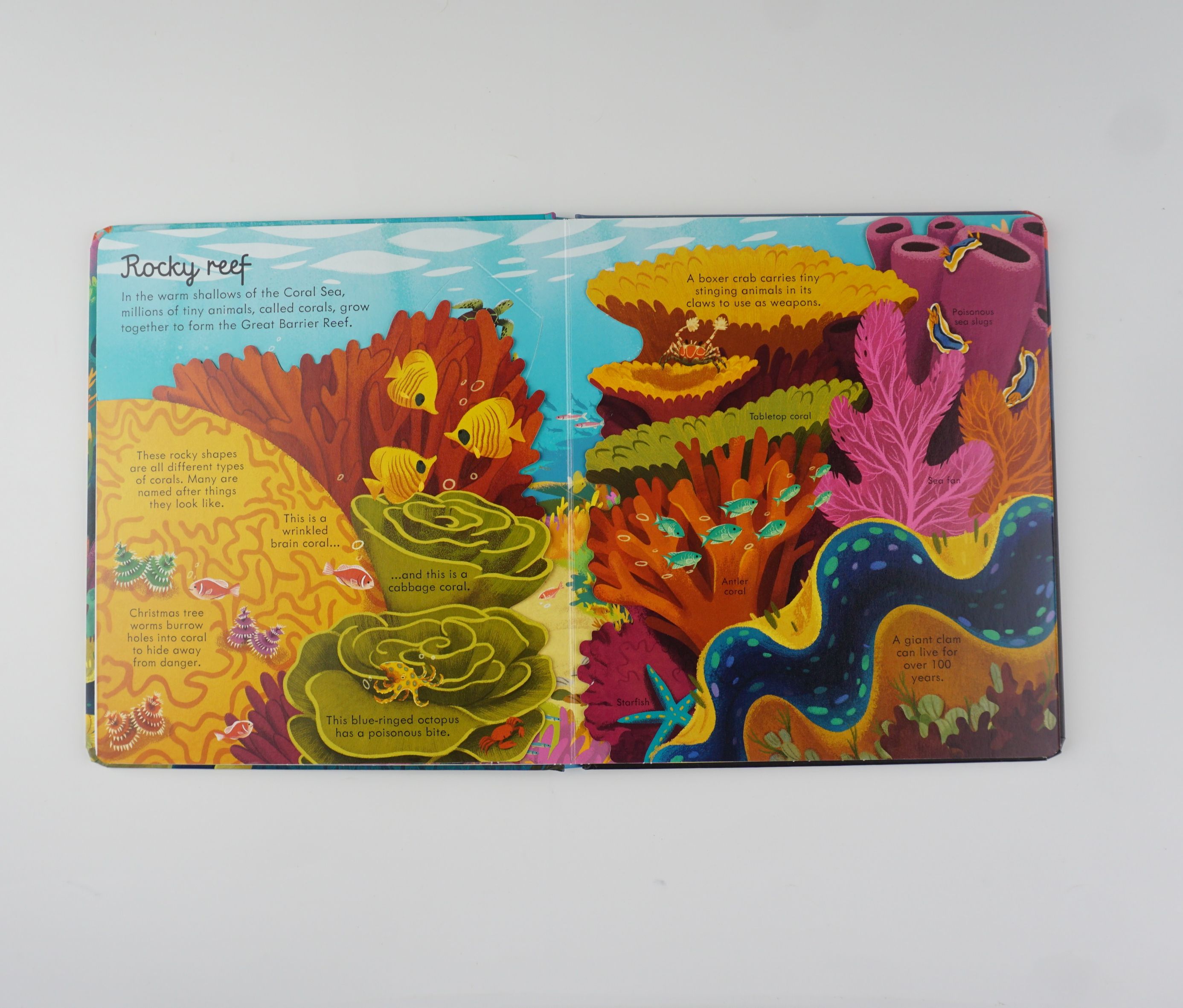 Look Inside Seas and Oceans