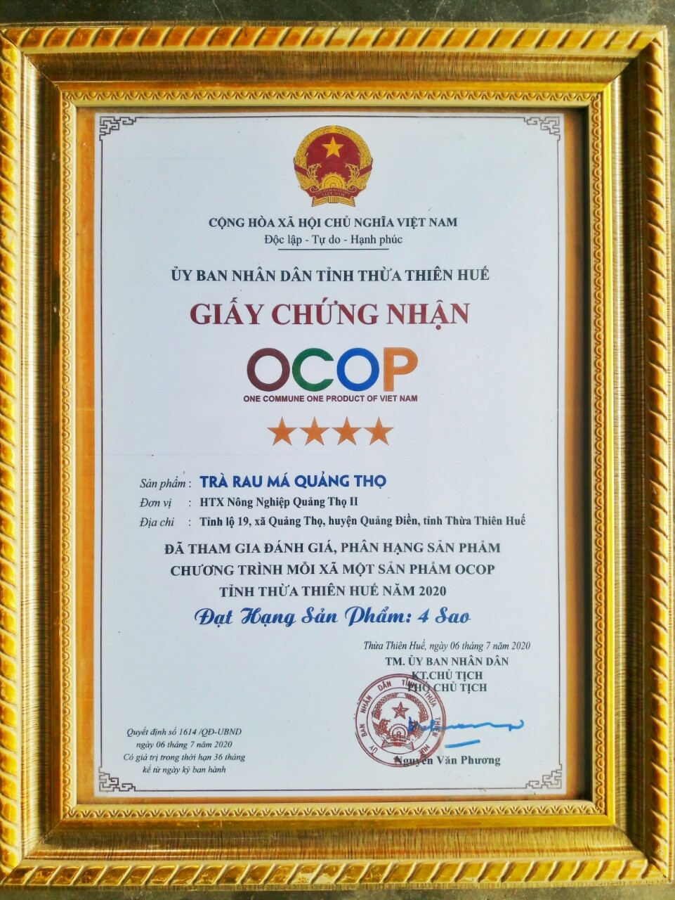 3 Trà rau má Quảng Thọ , ĐẶC SẢN HUẾ ( 3 hộp x 30 túi lọc x 2g )