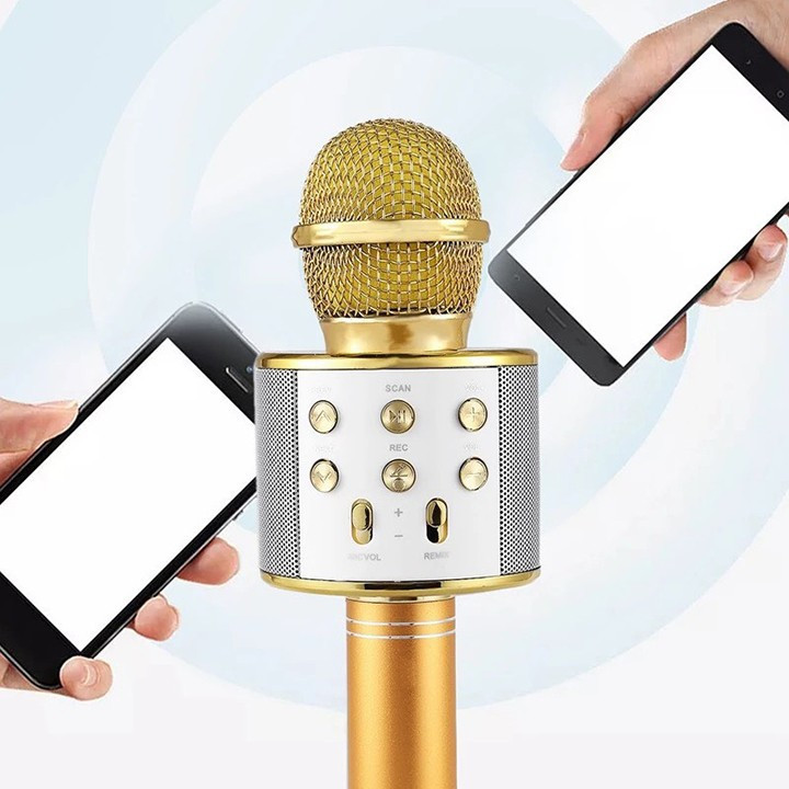 Micro Hát Karaoke Bluetooth Kèm Loa 858