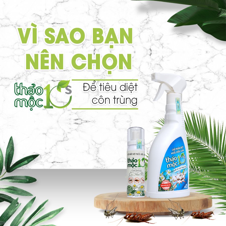 Bình xịt diệt Kiến, Gián, Muỗi Thảo mộc 10s