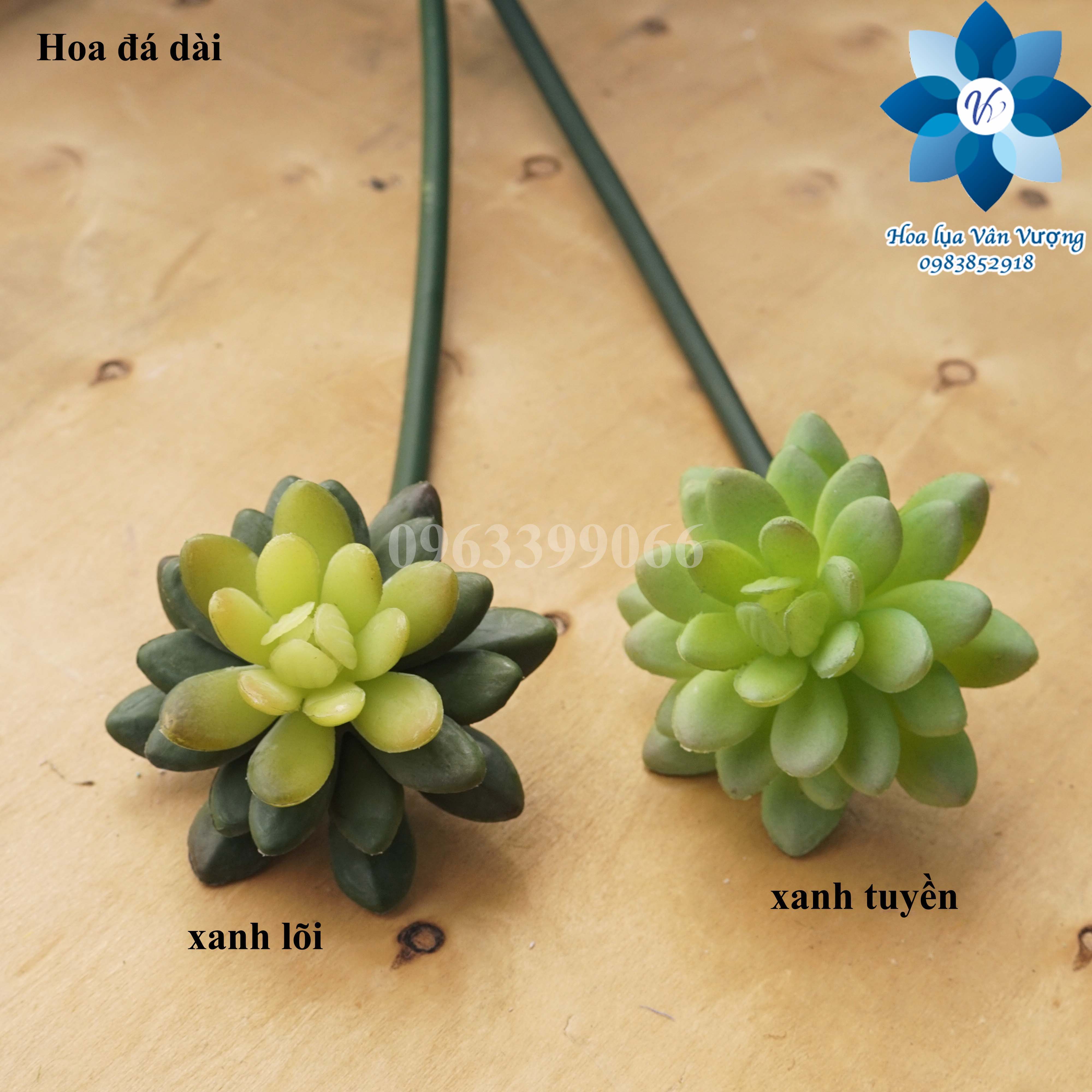 Hoa Đá Giả, Hoa Sen Đá Giả Cành Dài