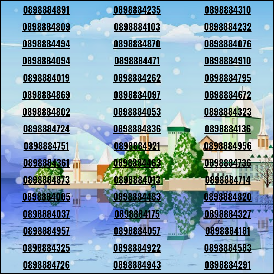 [HCM]Sim số đep tân gia