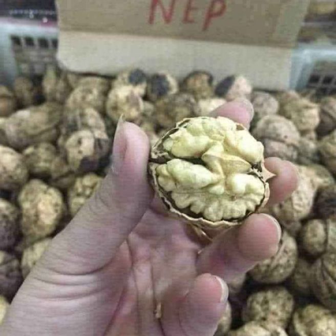 500g óc chó nếp